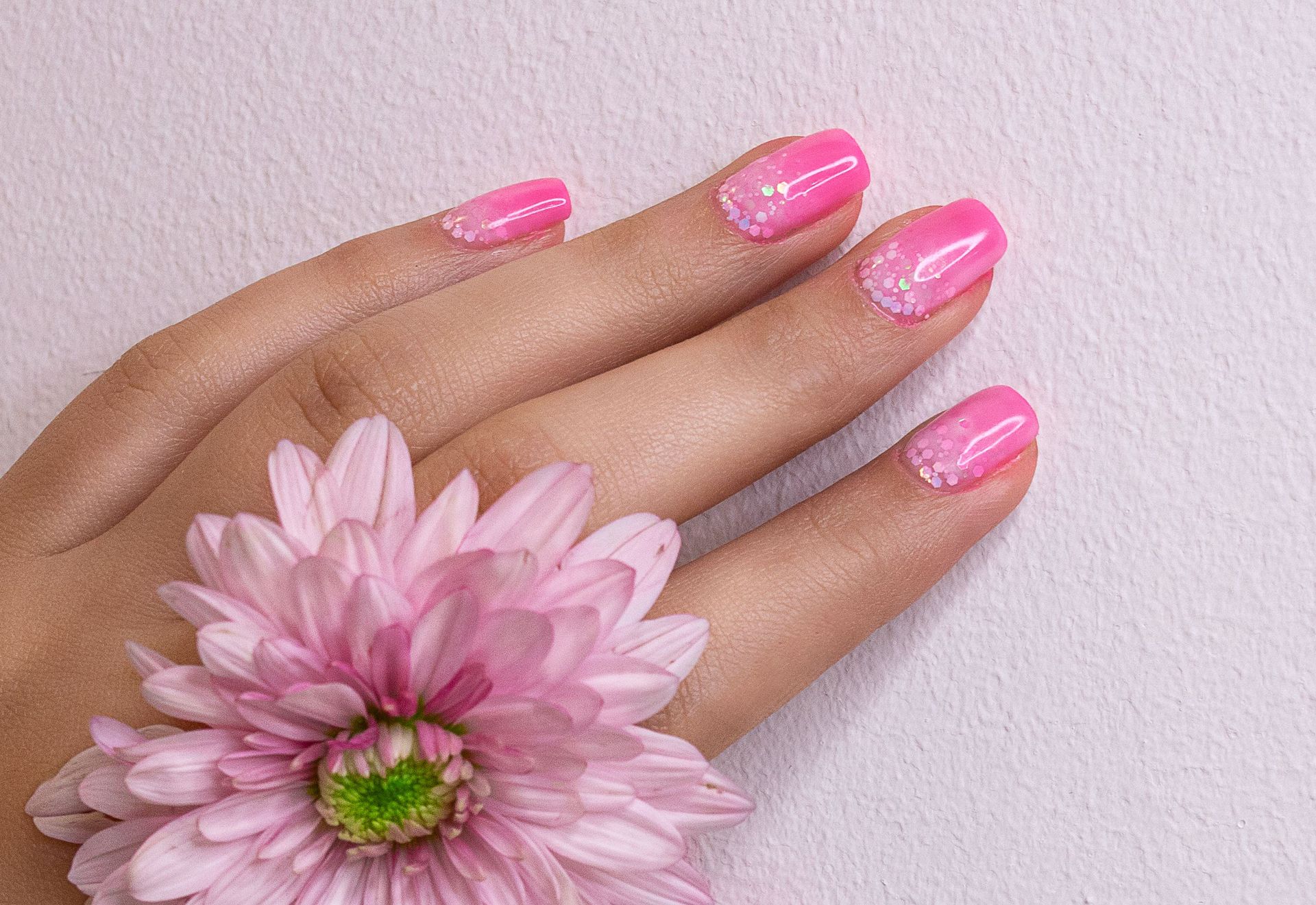 Close-up of a woman's hand with pink manicure and chrysanthemum flower, showcasing trendy nail art.